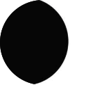 New Moon
