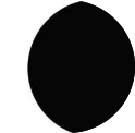 New Moon